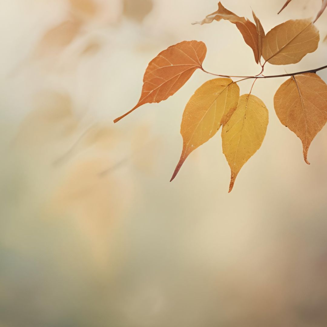El Chai de Otoño